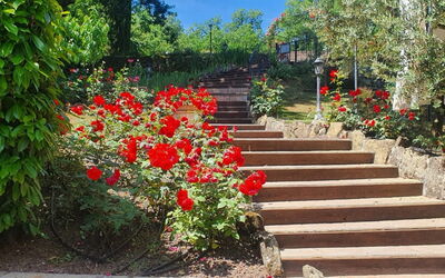 Palazzo Salieri- Weddings and