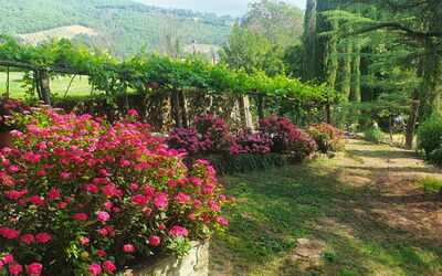 Palazzo Salieri- Weddings and