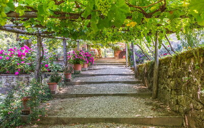 Palazzo Salieri- Weddings and: Tuin