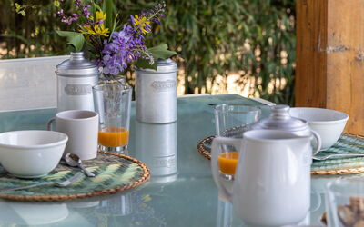 Villa Orchidea: all'aperto