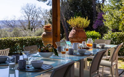 Villa Orchidea: all'aperto