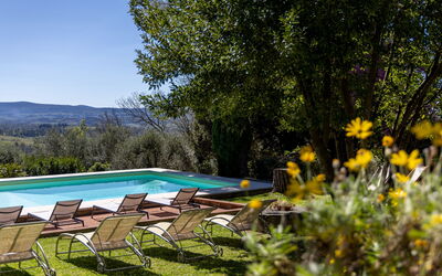 Villa Orchidea: all'aperto, Piscina