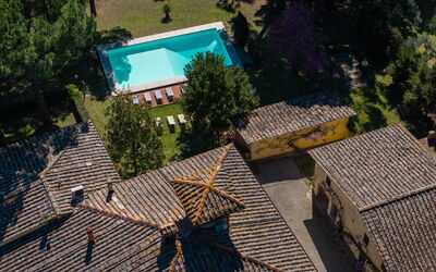 Villa Orchidea: all'aperto, Piscina