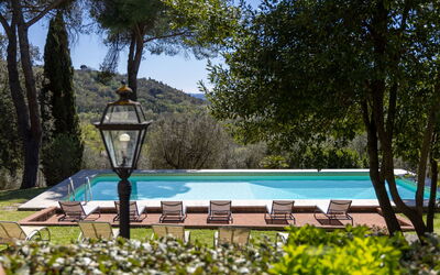 Villa Orchidea: all'aperto, Giardino, Piscina