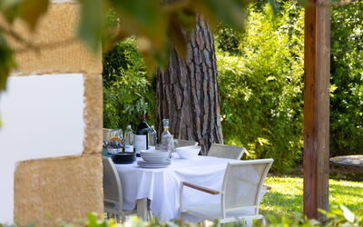 Villa Orchidea: all'aperto, Esterni, Giardino