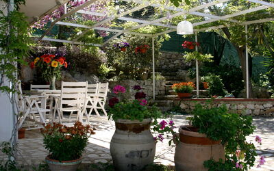 Villa Scicli: Garden