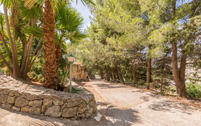 Villa Scicli: Garden