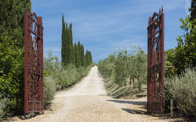 Villa Vistosa: Garden, Outdoor, Scenic View