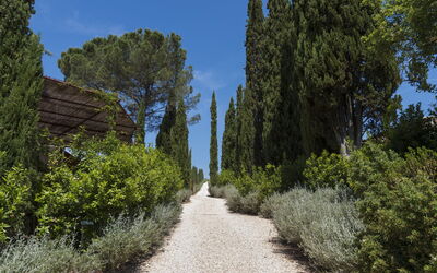 Villa Vistosa: Garden, Outdoor, Scenic View