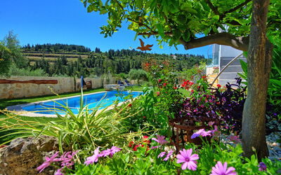 Villa Eftychia: Garden, Outdoor, Pool