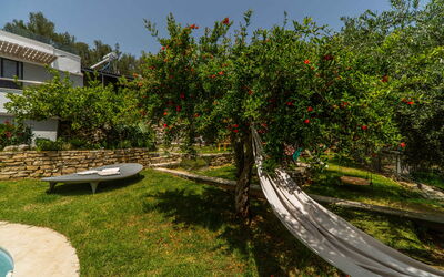 Villa Eftychia: Garden, Outdoor