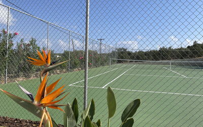 Villa Bluewhite: Attività