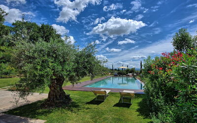 Villa Dora: Garden