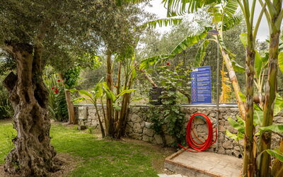 Villa Nipos: Garden, Outdoor
