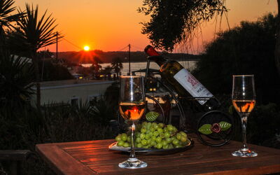 Beachfront Villa Seawave: Garden