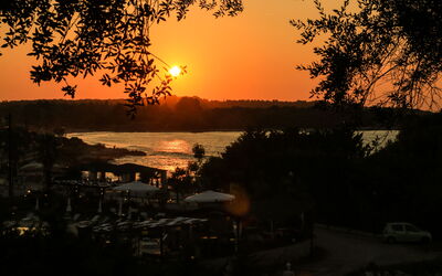 Beachfront Villa Seawave: Garden