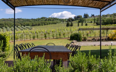Villa Il Caggio: all'aperto, Balcone / Terrazza / Patio, Esterni, Vista Panoramica