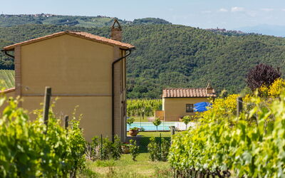 Villa Il Caggio: all'aperto, Esterni, Giardino, Piscina