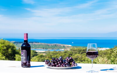 Villa Athena: Vista Panoramica