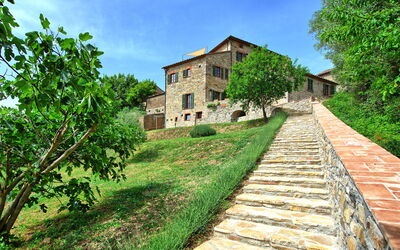 Villa Collina: Extérieurs, Jardin