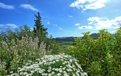Villa Vicilla: Buitenshuis