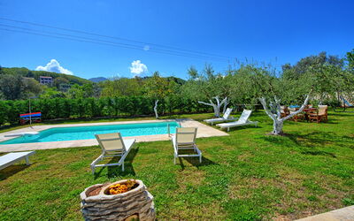 Villa Elaia: all'aperto, Giardino, Piscina