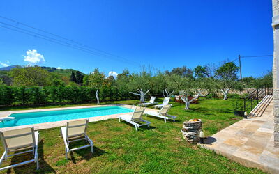 Villa Elaia: all'aperto, Giardino, Piscina