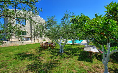 Villa Elaia: all'aperto, Giardino