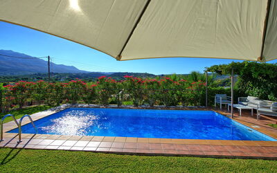 Villa Politini: bassin