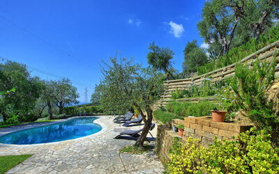 Villa Oliveta: Piscina