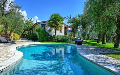 Villa Oliveta: Estate, Piscina