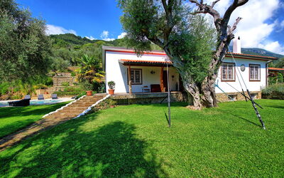 Villa Oliveta: all'aperto, Giardino