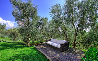 Villa Oliveta: Giardino