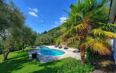 Villa Oliveta: Piscina