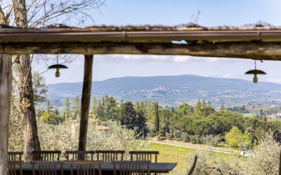 Villa Ferdinando: Garden, Outdoor, Scenic View