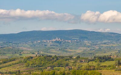 Villa Ferdinando: Outdoor
