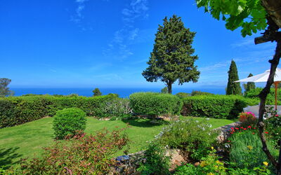 Villa Argentario: Extérieur, Jardin