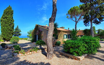 Villa Argentario: Extérieur, Jardin