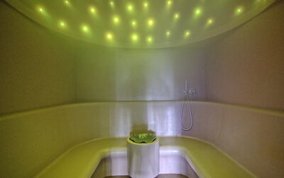 Villa le Buche: Welzijn