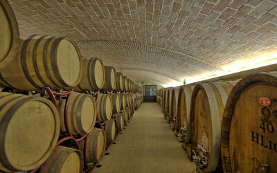 Villa le Buche: Activiteiten, Voorzieningen