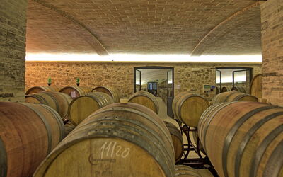 Villa le Buche: Activiteiten, Voorzieningen