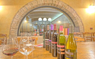 Villa le Buche: Activiteiten, Voorzieningen