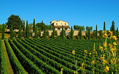 Villa le Buche: Buitenshuis, Keer bekeken, Zomer