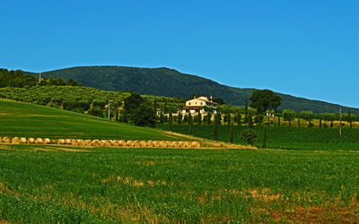 Villa le Buche: Keer bekeken