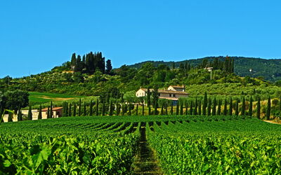 Villa le Buche: Keer bekeken