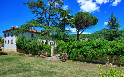 Villa Capolona: all'aperto