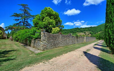 Villa Capolona: all'aperto