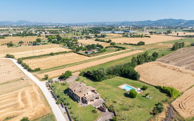 Villa Assisi: bassin, Jardin
