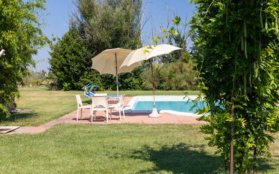 Villa Assisi: bassin, Extérieur, Extérieurs, Jardin