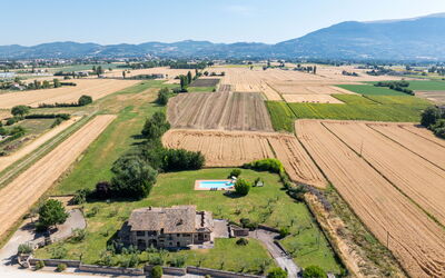 Villa Assisi: bassin, Jardin